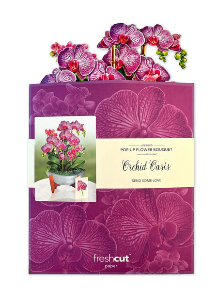 Orchid Oasis Card