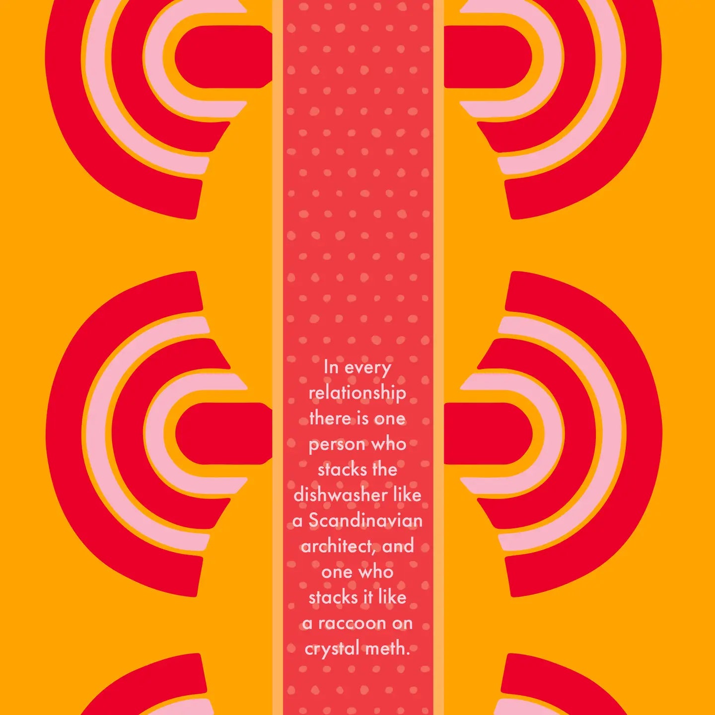 Dishwasher Dish Towel