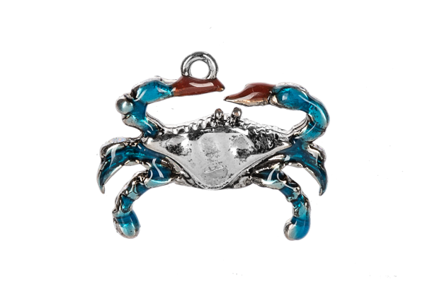 Follow The Crab Pocket Token