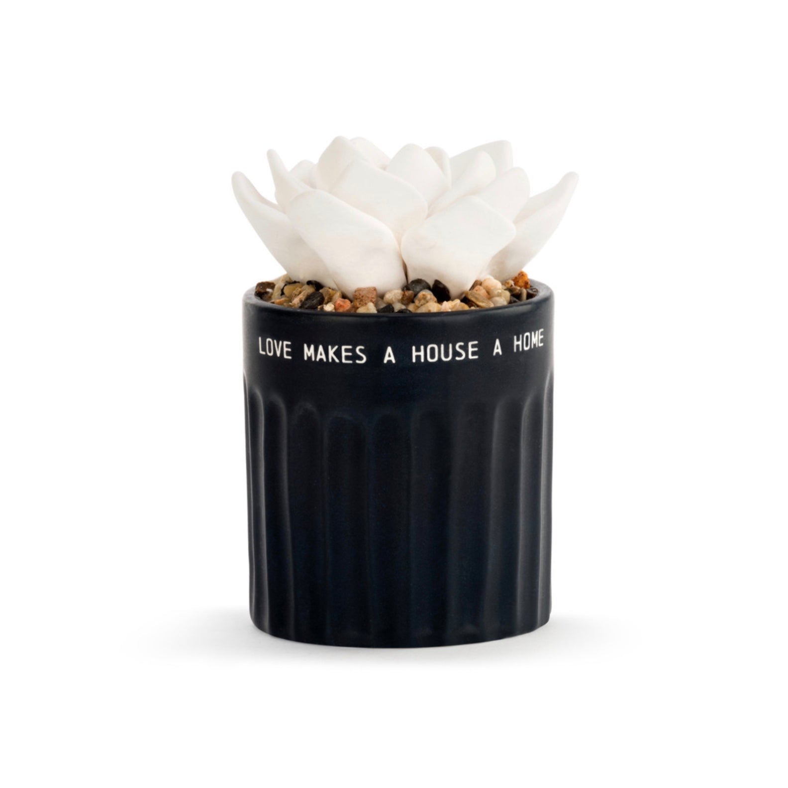 Home Succulent Diffuser