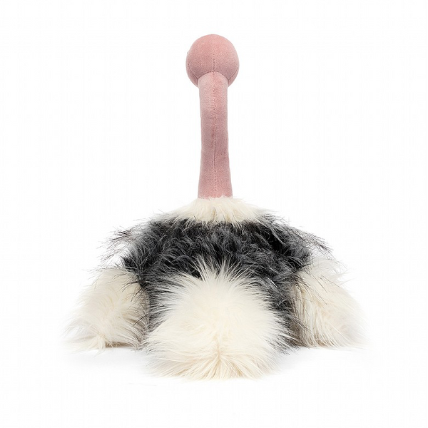 Ramonda Ostrich