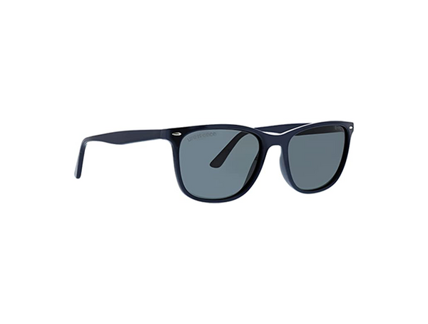 Sunny Cove Sunglasses