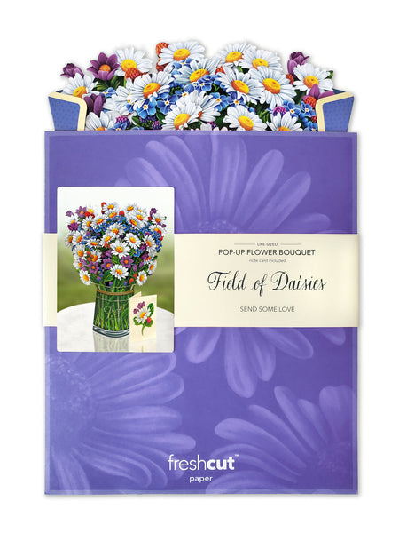 Field of Daisies Card