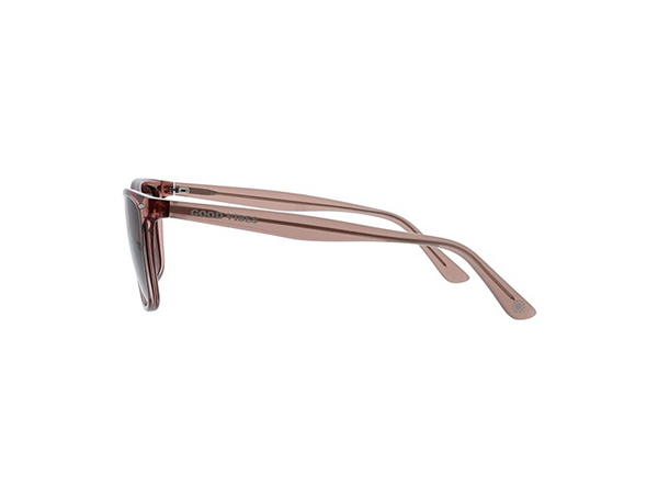 Sunny Cove Sunglasses