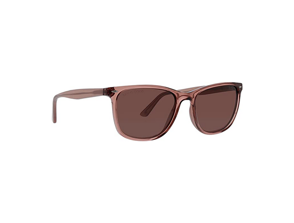 Sunny Cove Sunglasses