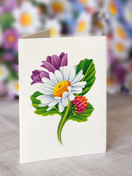 Field of Daisies Card