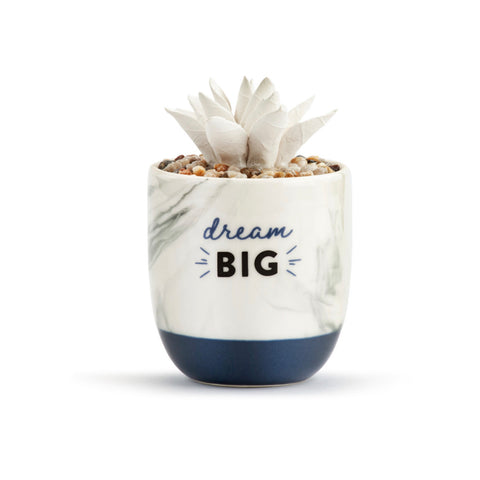 Dream Big Succulent Diffuser