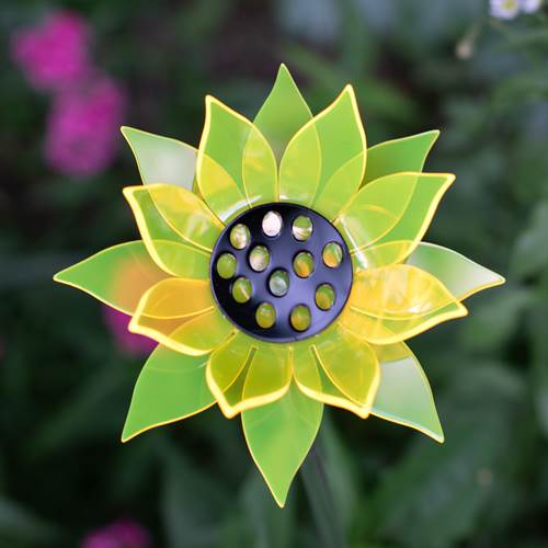 Yellow Sunflower