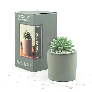 Citrus Verbena Diffuser Set
