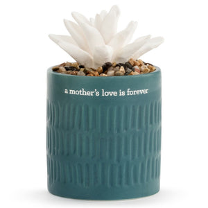 Mother Love Succulent Diffuser