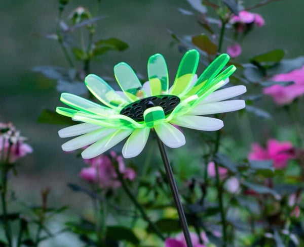 Dynamic Daisy Flower
