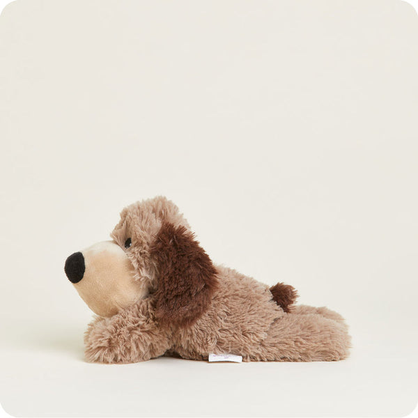 Brown Dog Junior Warmies