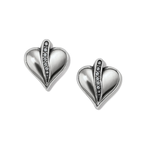 Precious Heart Earrings