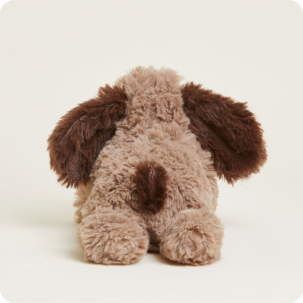Brown Dog Junior Warmies