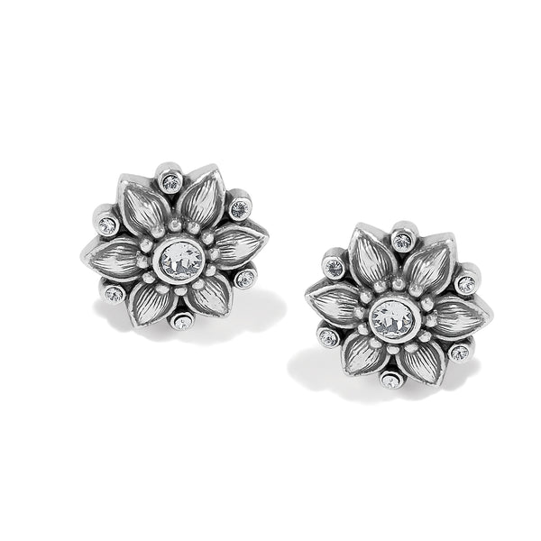 Cora Post Earrings