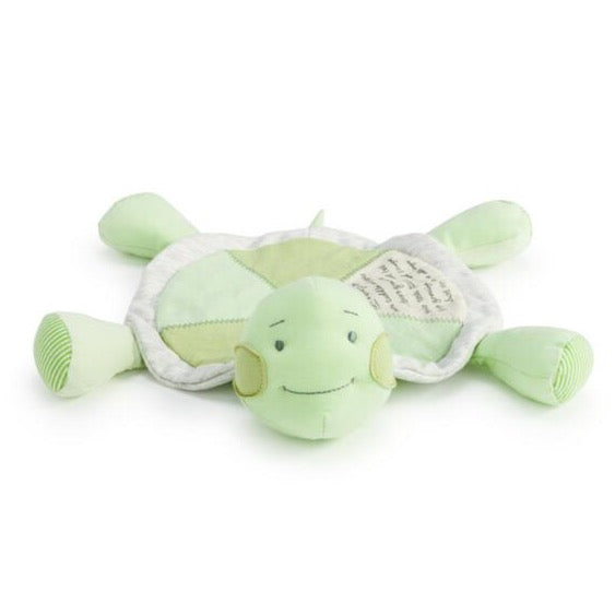 Grow Slow Turtle Blankie