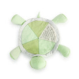 Grow Slow Turtle Blankie