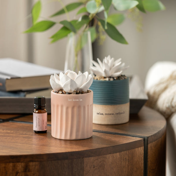 Mother Love Succulent Diffuser