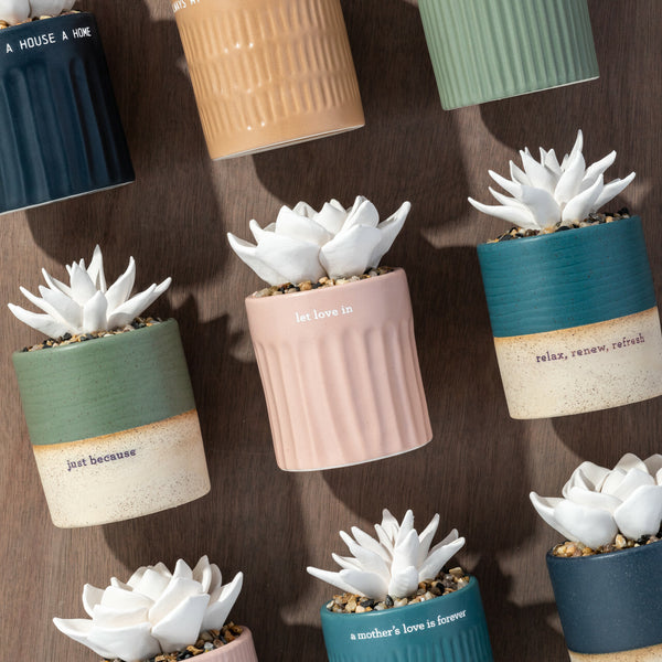 Mother Love Succulent Diffuser